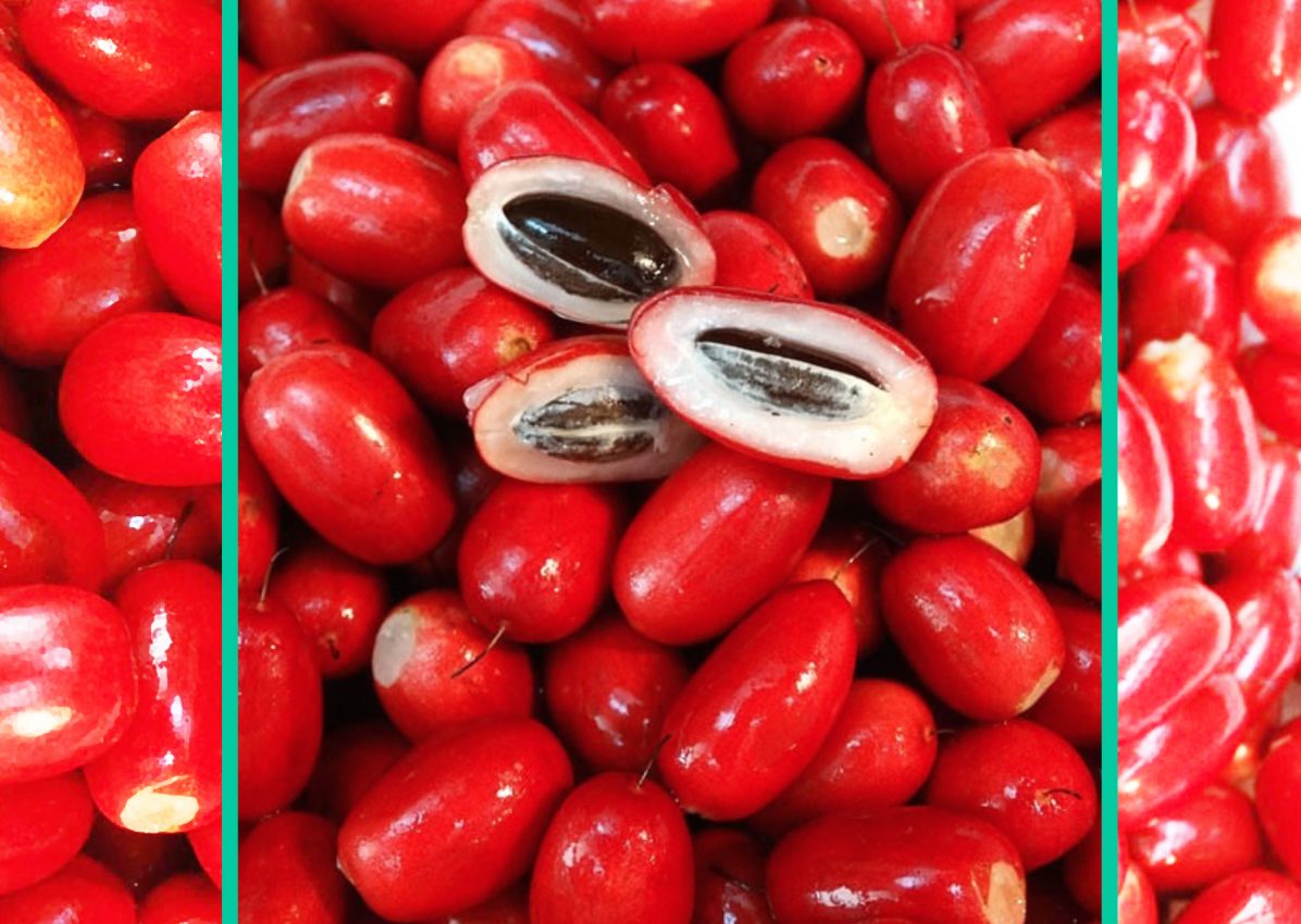 suesse-frucht_2